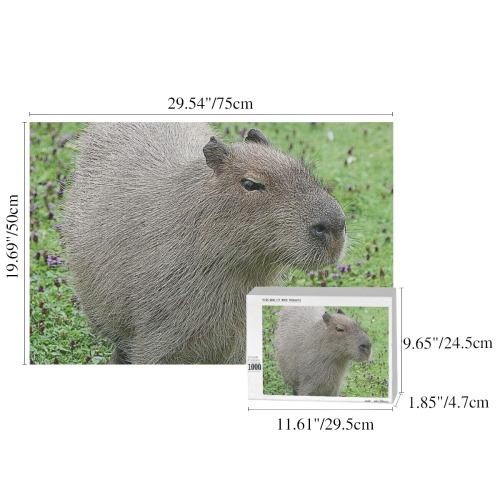 cute capybara 1000-Piece Wooden Photo Puzzles