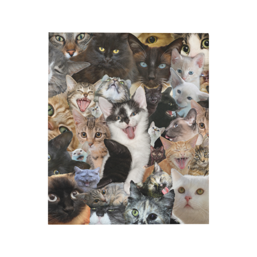 Crazy Kitten Show Quilt 50"x60"