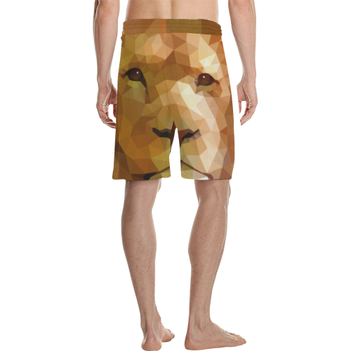 Polymetric Lion Men's All Over Print Casual Shorts (Model L23)