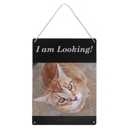 Cat - I am Looking - IMG20190223_022334 Metal Tin Sign 12"x16"