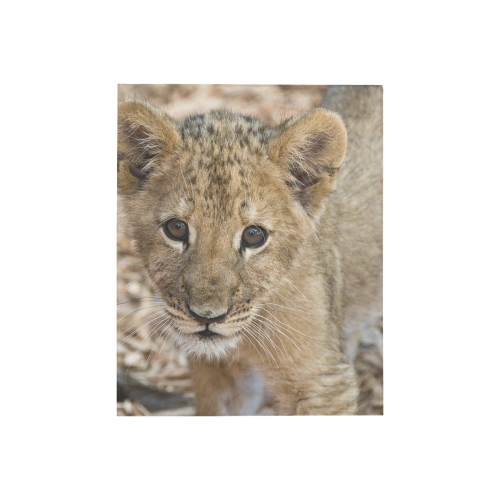 BABY lion Quilt 40"x50"