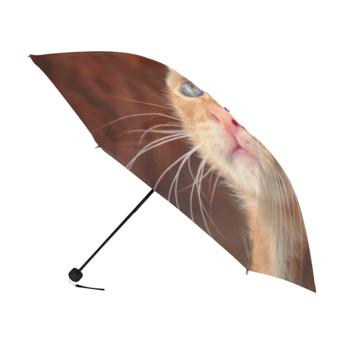 Orange Tabby And Butterfly Anti-UV Foldable Umbrella (U08)