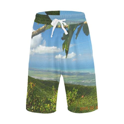 YS_0024 - View Men's All Over Print Casual Shorts (Model L23)