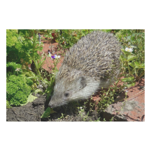 hedgehog- cute visit to the garden 1000-Piece Wooden Photo Puzzles