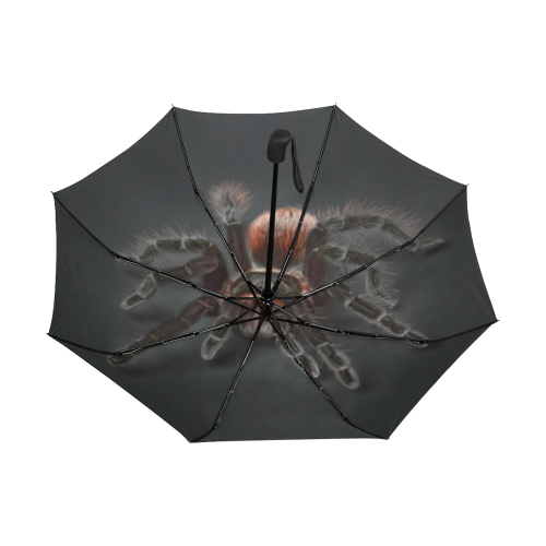 Tarantel - Tarantula Spider Painting Anti-UV Auto-Foldable Umbrella (Underside Printing) (U06)