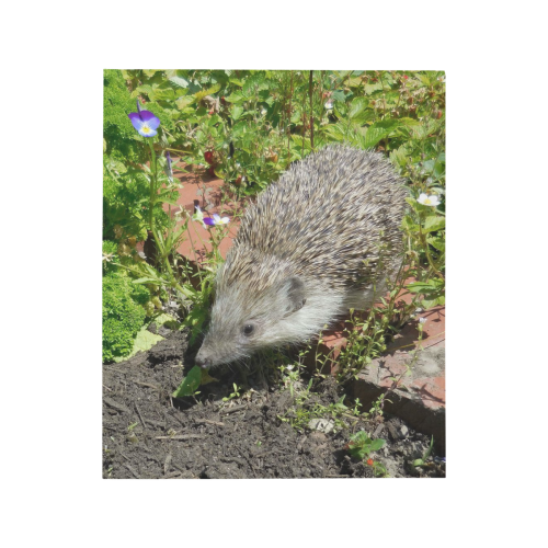 hedgehog- cute visit to the garden Quilt 50"x60"