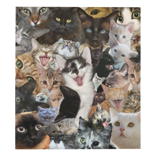 Crazy Kitten Show Quilt 70"x80"