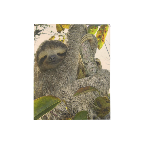 Awesome Animal - Sloth Quilt 40"x50"