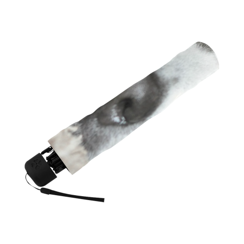 Sleepy Saint Bernard Anti-UV Foldable Umbrella (U08)