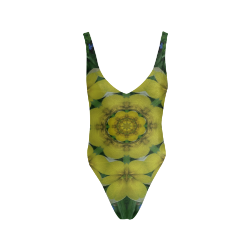 fantasy plumeria decorative real and mandala Sexy Low Back One-Piece Swimsuit (Model S09)