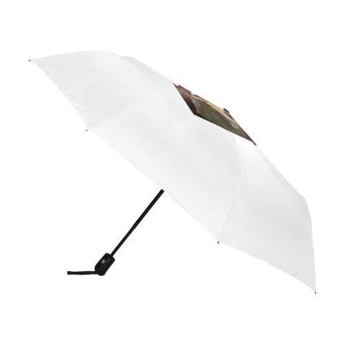 leads Anti-UV Auto-Foldable Umbrella (U09)