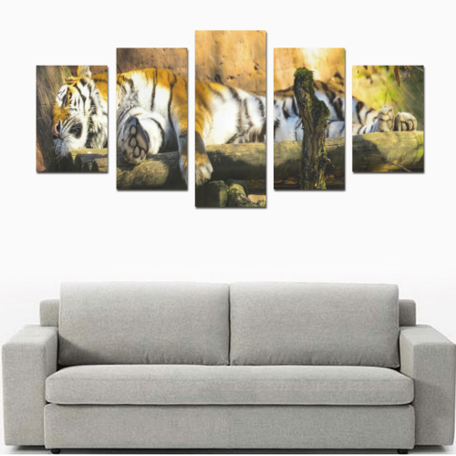 Tiger Panoramic Canvas Print Sets D (No Frame)