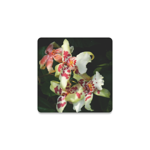 spotted orchids Square Coaster