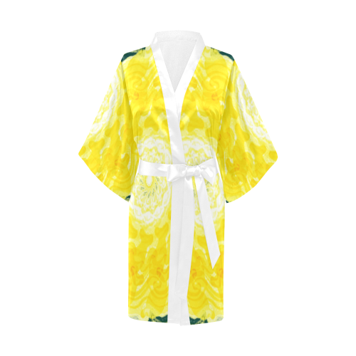 dauphins 11 Kimono Robe