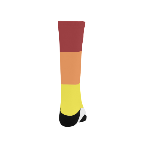 Lithsexual Flag Men's Custom Socks