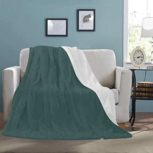 color dark slate grey Ultra-Soft Micro Fleece Blanket 60"x80"