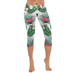Awesome Flamingo And Zebra Women's Low Rise Capri Leggings (Invisible Stitch) (Model L08)