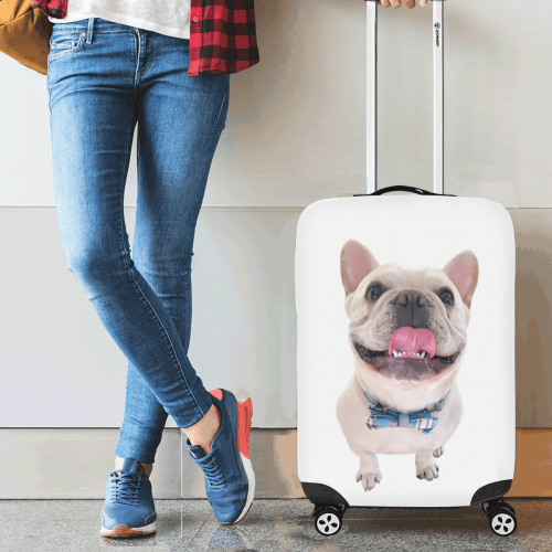 Dapper French Bulldog Luggage Cover/Small 18"21" ID D2854222