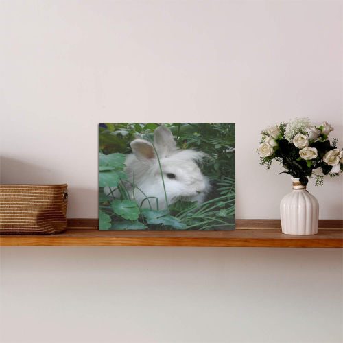 Precious White Bunny Rabbit Photo Panel for Tabletop Display 8"x6"