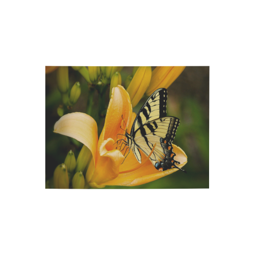 Butterfly Orange Lily Photo Panel for Tabletop Display 8"x6"