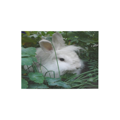 Precious White Bunny Rabbit Photo Panel for Tabletop Display 8"x6"
